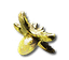 Aketine Seed