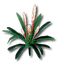 Yazhen