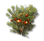 Buckflower