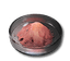 Ground Buckflower Powder