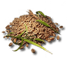 Amber Rice Seed